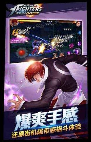 拳皇命运(精选)截图2