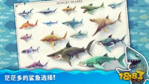 饥饿鲨：世界（精选）截图3