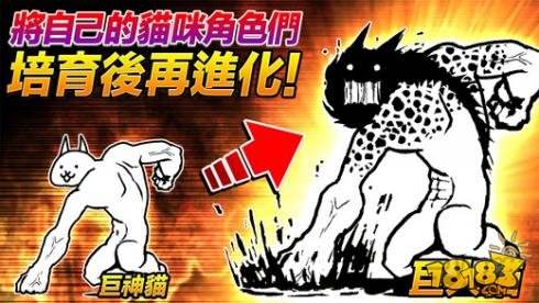 猫咪大战争（精选）截图3