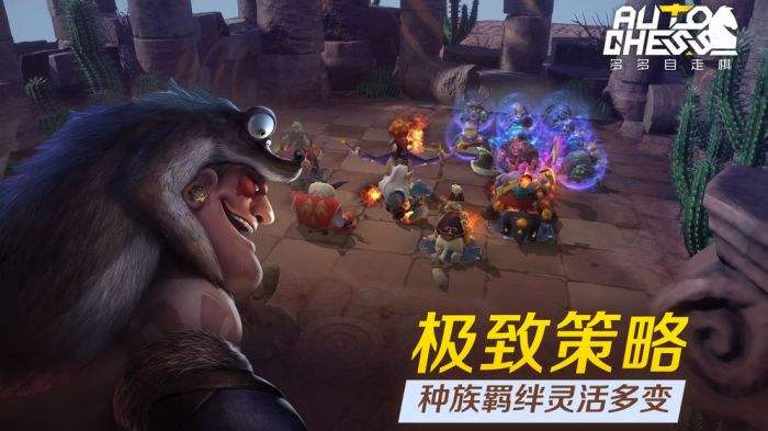 多多自走棋(精选)截图1