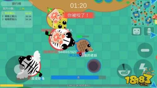 丛林大作战（精选）截图4