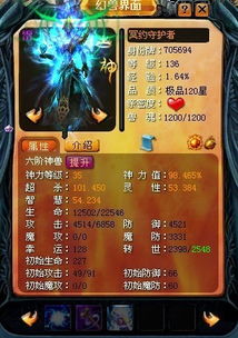 网通魔域专属服发布网游戏截图