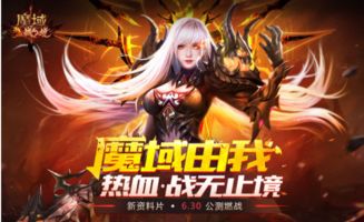魔域怀旧版sf游戏截图