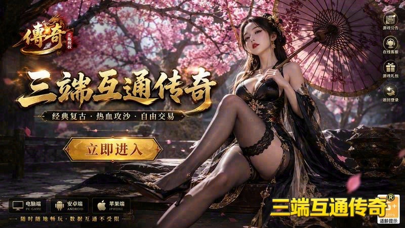 找传世专属服网游戏截图