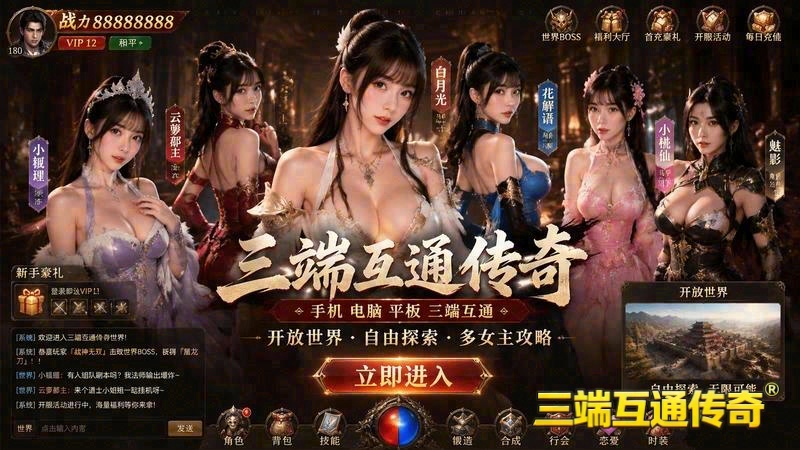 家庭传世专属服卡顿游戏截图